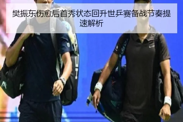 樊振东伤愈后首秀状态回升世乒赛备战节奏提速解析 - bwty